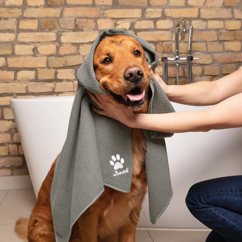 Ein Hund wird neben einer Badewanne mit dem grauen Vileda Pet Pro Microfaser-Handtuch XL abgetrocknet.