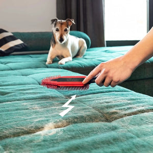 Vileda Pet Pro Polsterbürste beim Entfernen von Tierhaaren auf einem türkisfarbenen Sofa, auf dem ein Hund liegt.