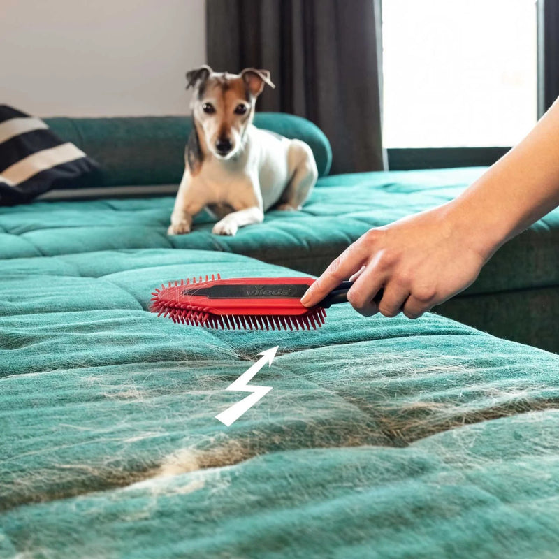 Vileda Pet Pro Polsterbürste beim Entfernen von Tierhaaren auf einem türkisfarbenen Sofa, auf dem ein Hund liegt.