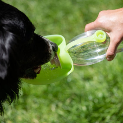 Seitliche Ansicht eines Hundes beim Trinken aus der PROCYON Trinkflasche Leaf.